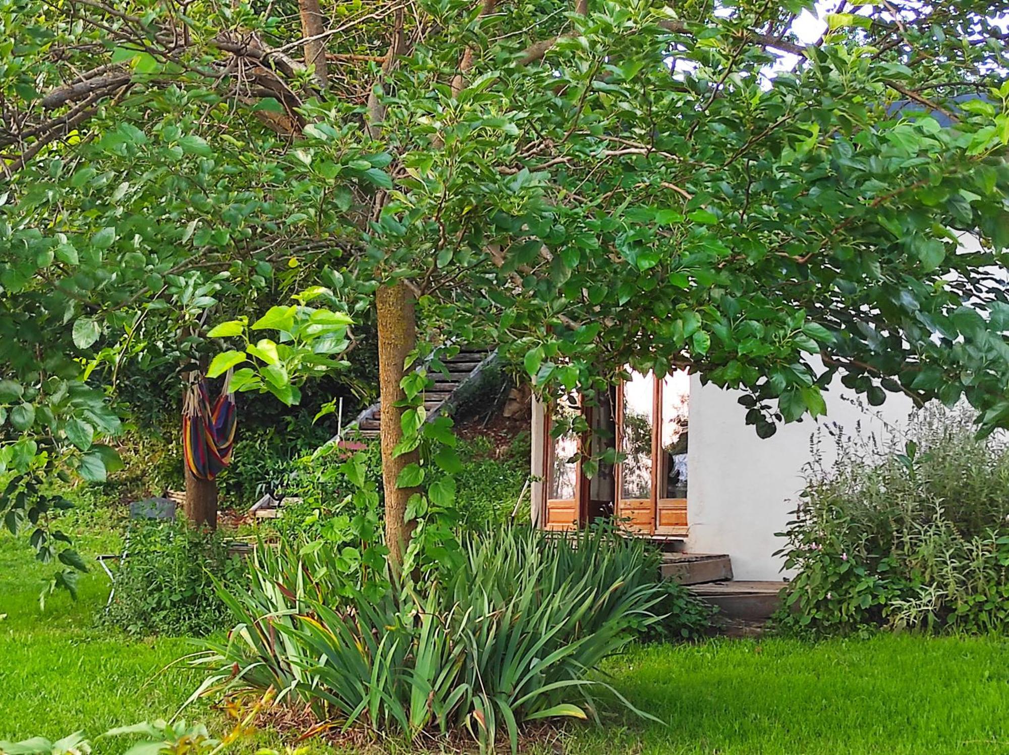 Bout De Cote Bed & Breakfast Lacam-d'Ourcet Exterior photo